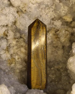 PUNTA OJO DE TIGRE 8cm