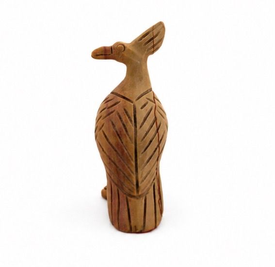 PAJARO DE JICORITA