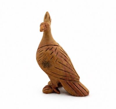 PAJARO DE JICORITA