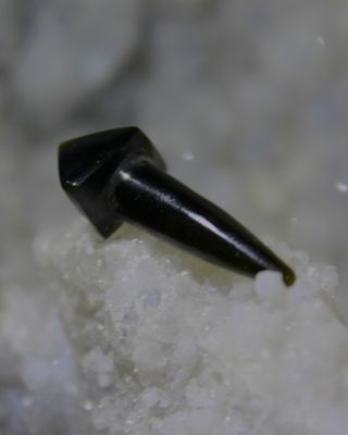 EXPANSOR DE OBSIDIANA