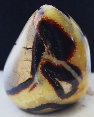 SEPTARIA DE MADAGASCAR