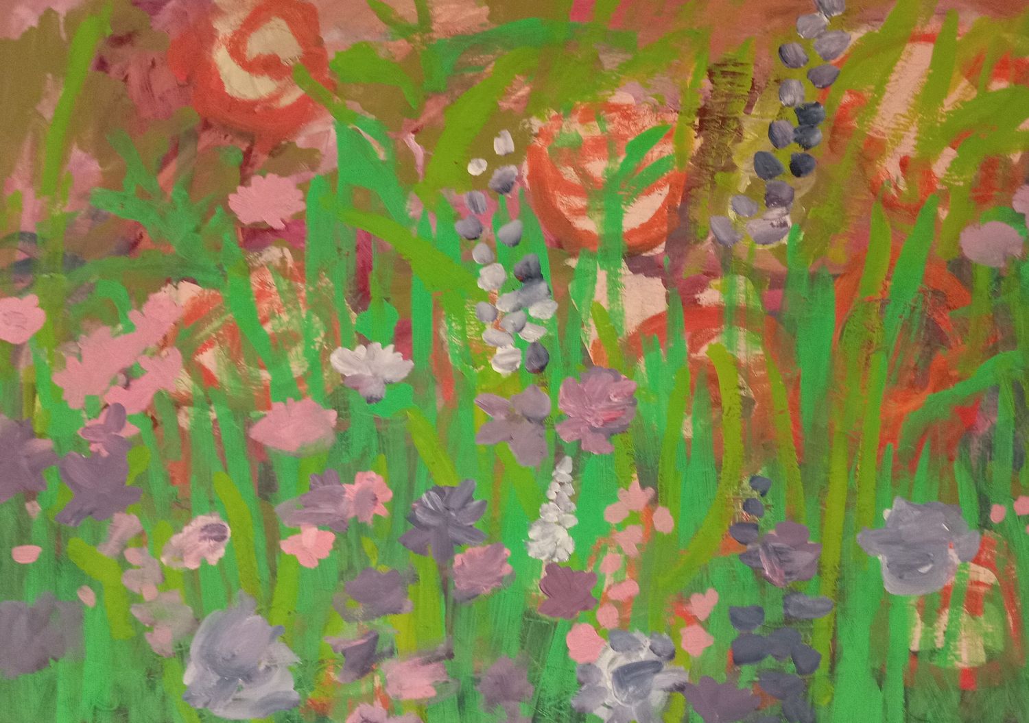 Wild Meadow flowers