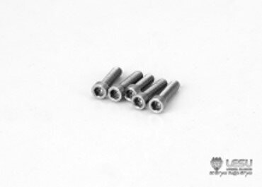 M2.5x10 Screw