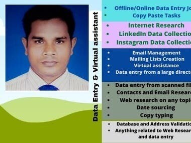 Data Entry and Virtual Assistant