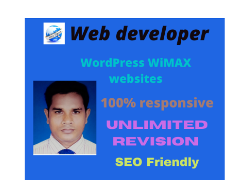 Wp Website Developing