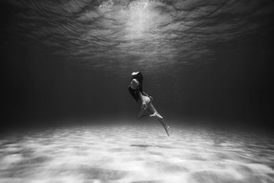 Label Swim