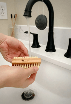 Wood and Sisal Nail Brush