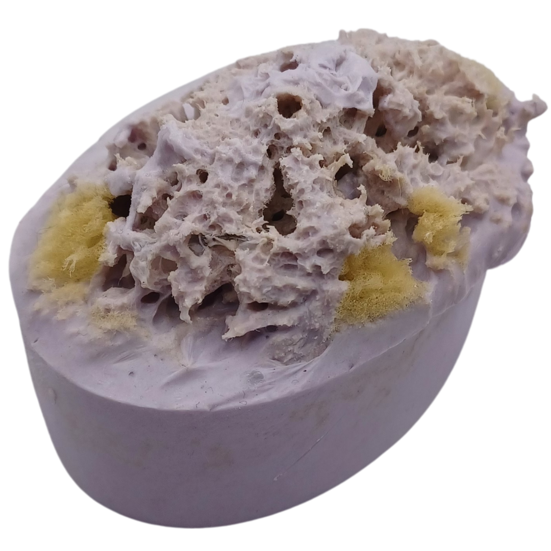 Love in a Dream (Love Spell) Donkey Milk Sea Sponge Soap