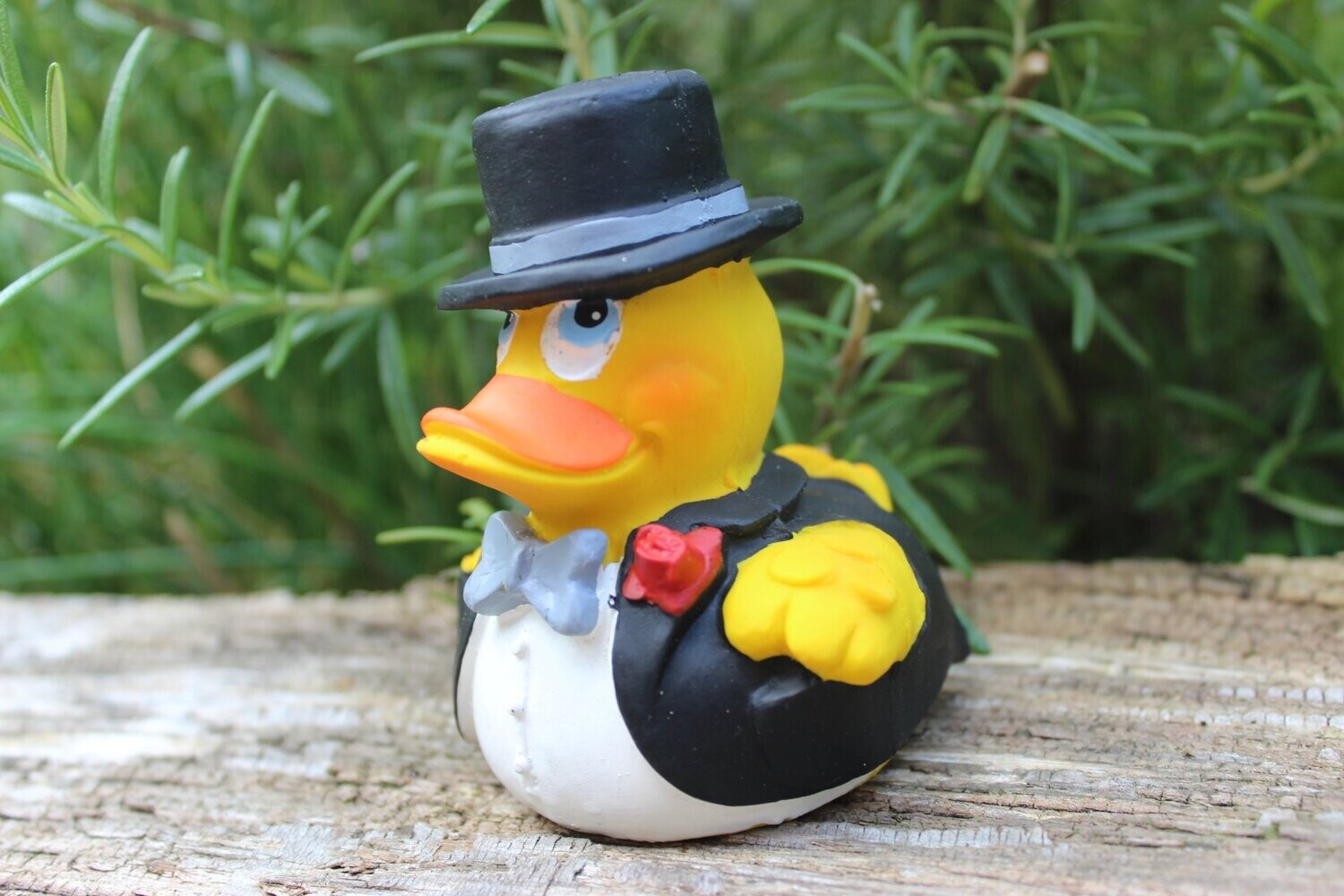 Ente Latex Bräutigam