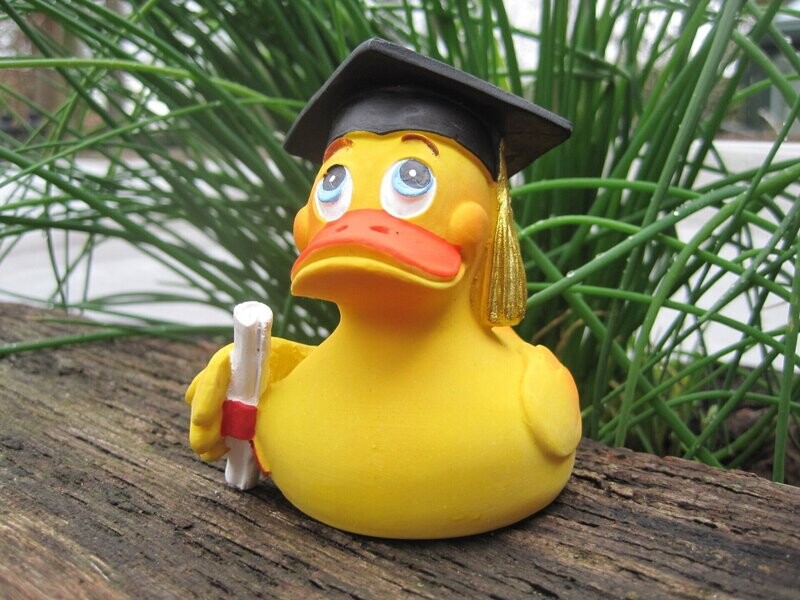 Ente Latex Diplom