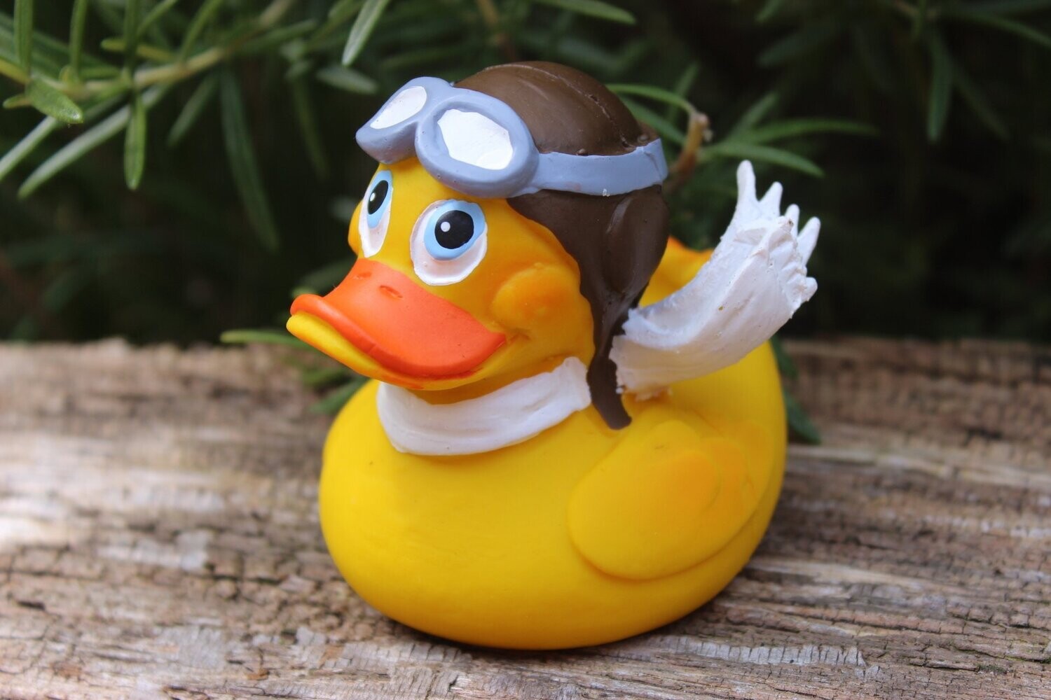 Ente Latex Pilot