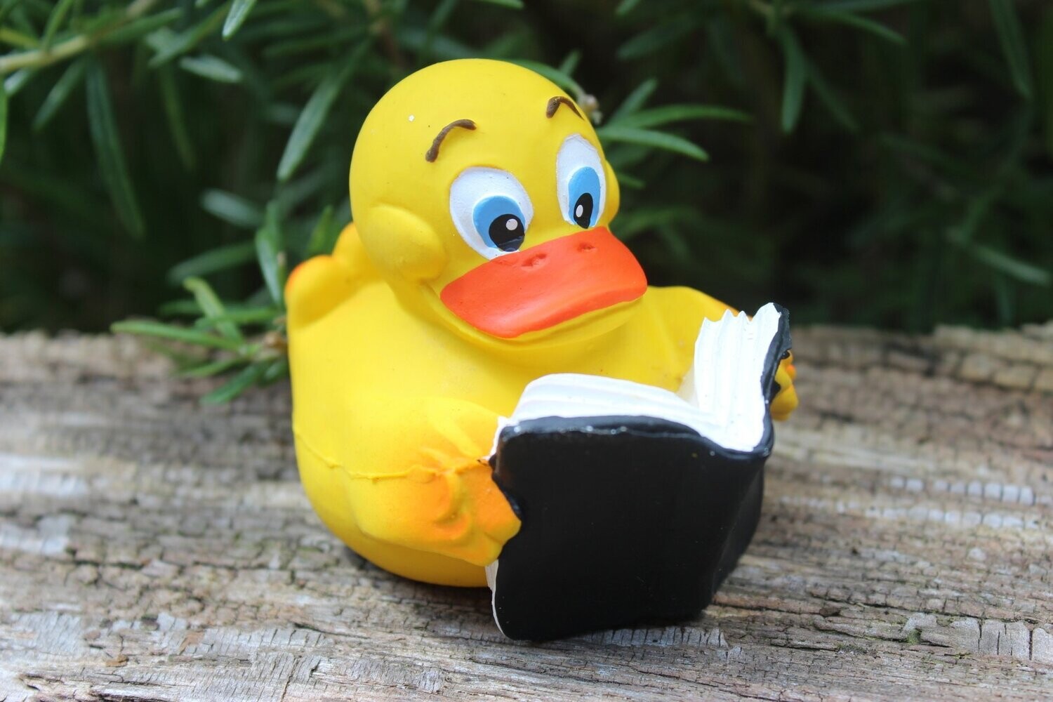 Ente Latex Buch