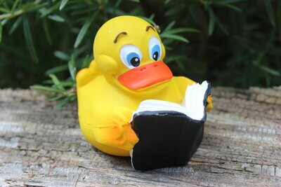 Ente Latex Buch