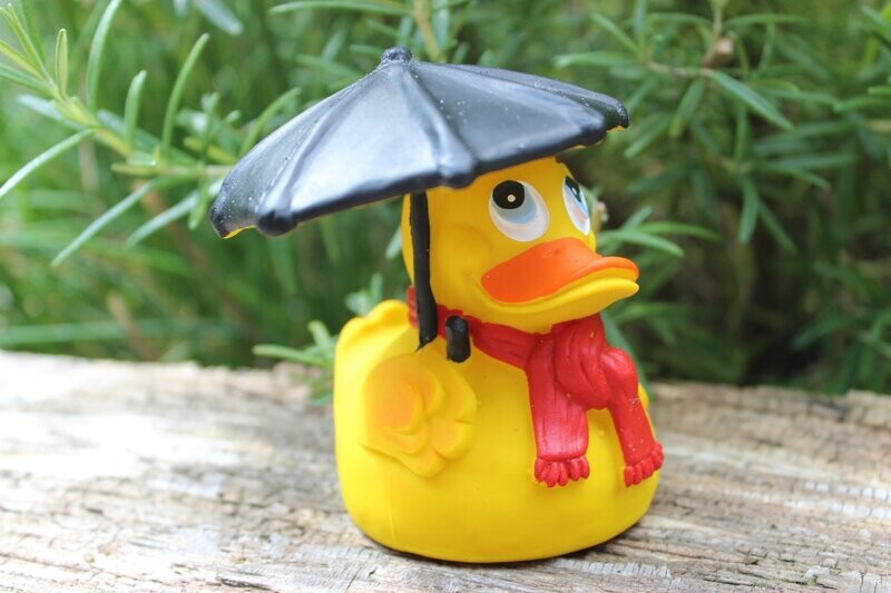 Ente Latex Regenwetter
