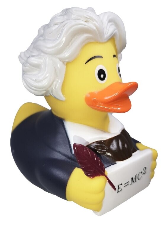 Ente Einstein