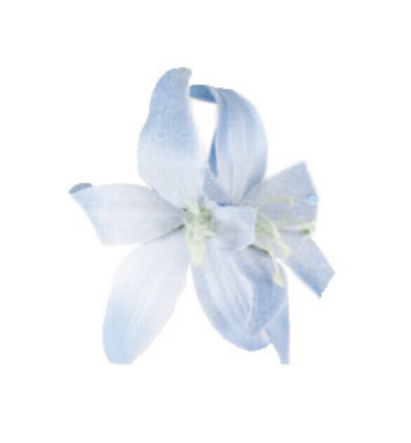 WS Blue Large Double Lily Glitter Haarblüte