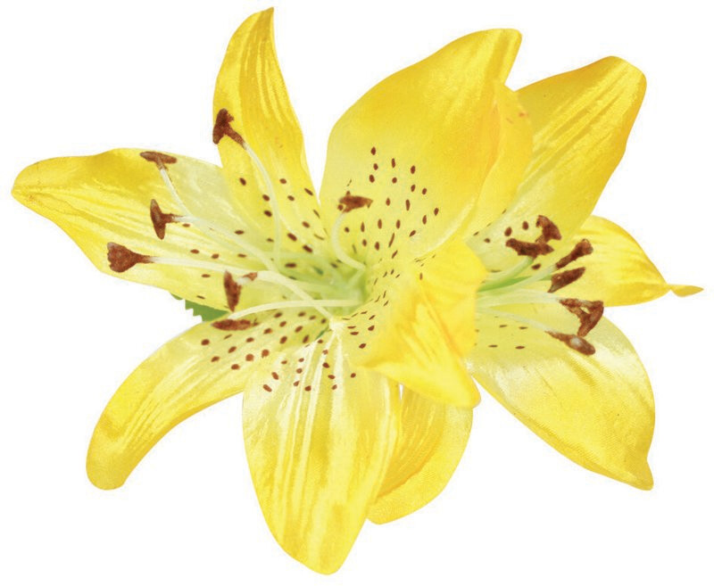 WS Haarblüte Large - Lily, Yellow