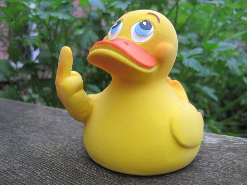 Ente Latex F... Y..
