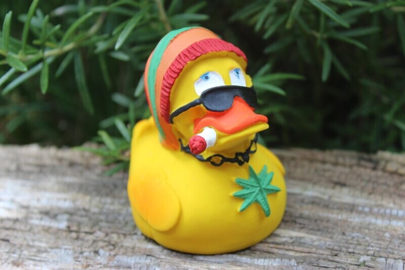 Ente Latex Rasta