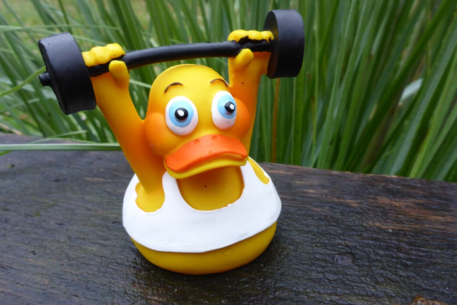 Ente Latex Workout