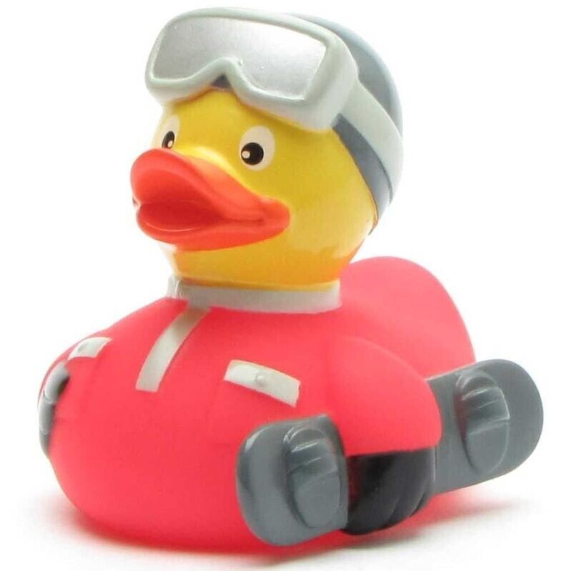 Ente Snowboarder