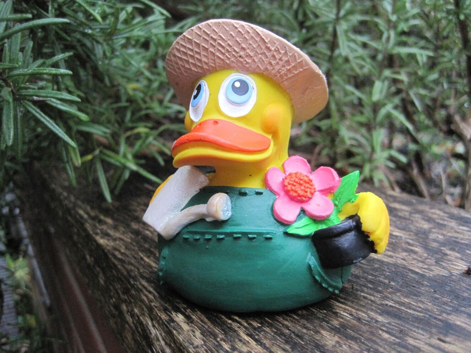 Ente Latex Gärtner