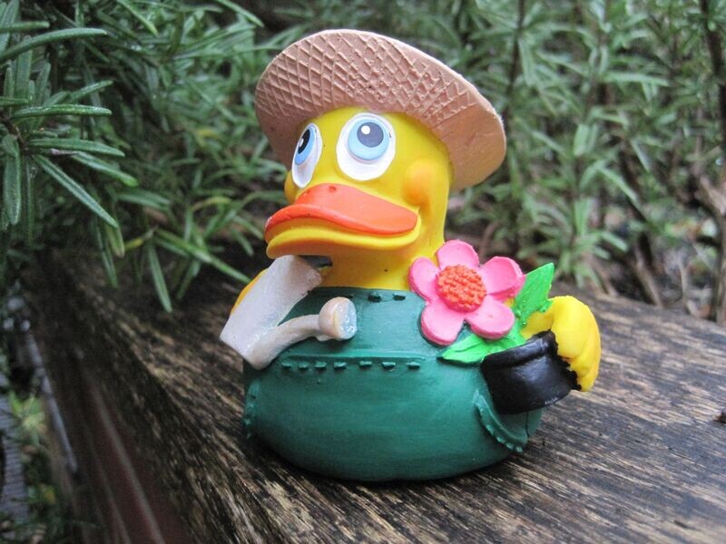 Ente Latex Gärtner