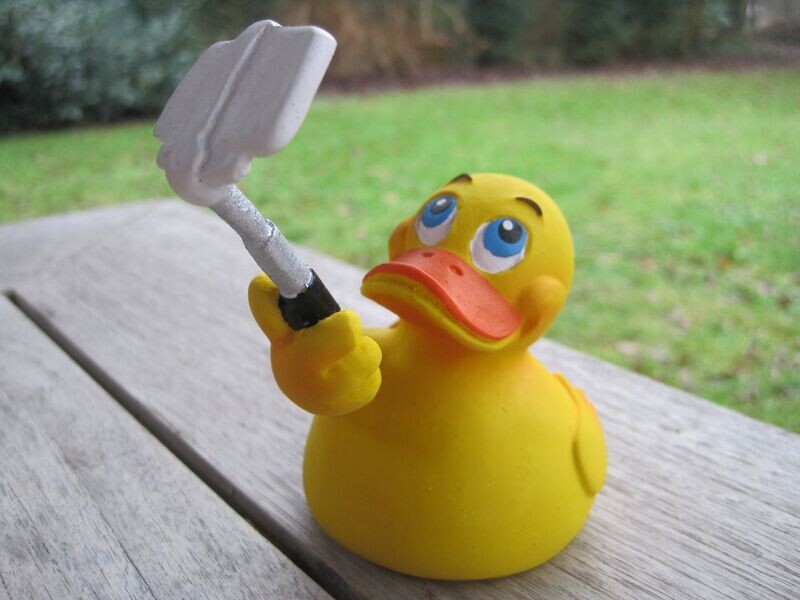 Ente Latex Selfie