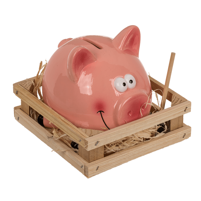 Sparschwein Pink