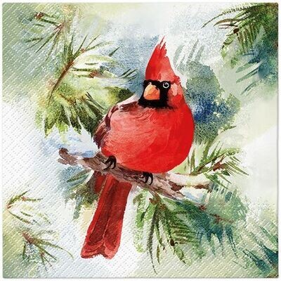 Serviette Winter Cardinal
