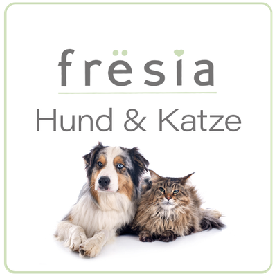 Hund & Katze