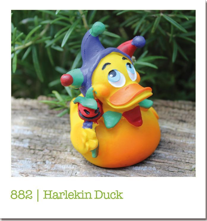 Ente Latex Harlekin