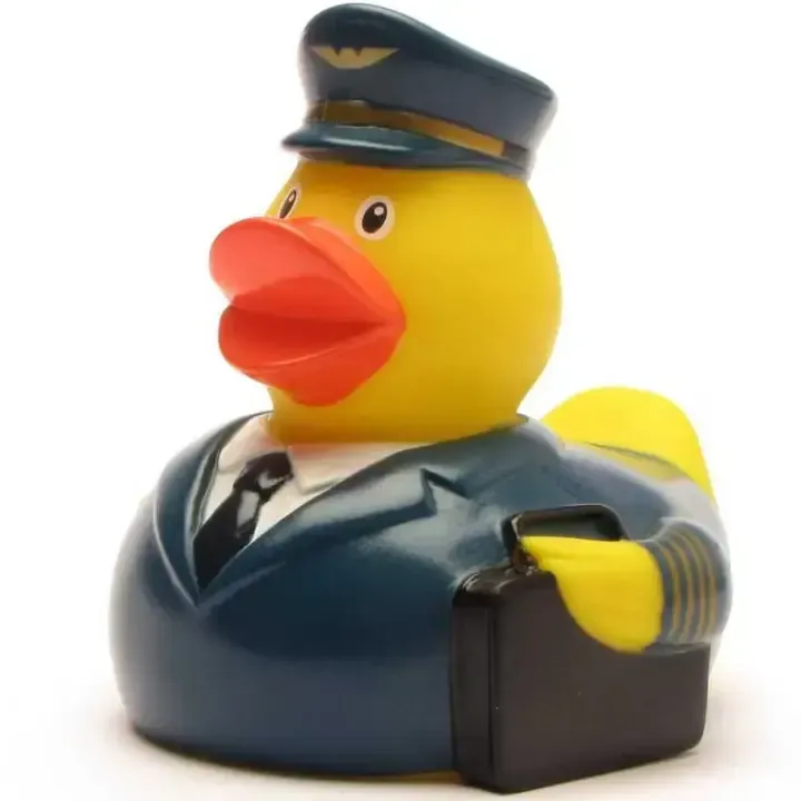 Ente Pilot