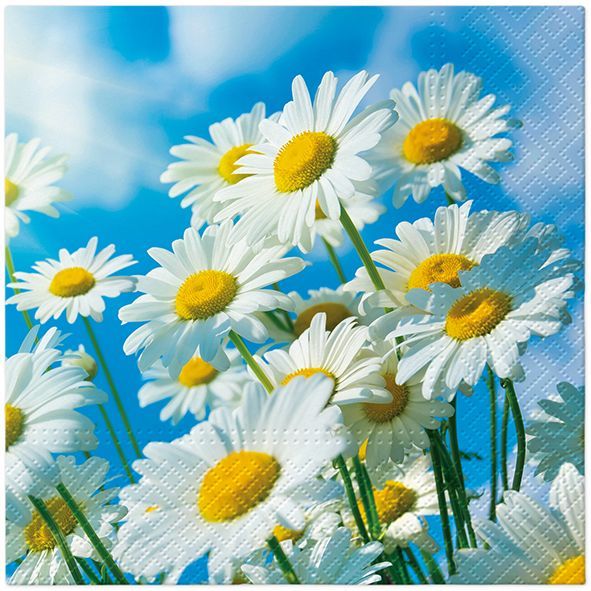Serviette Sun Daisies