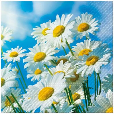 Serviette Sun Daisies