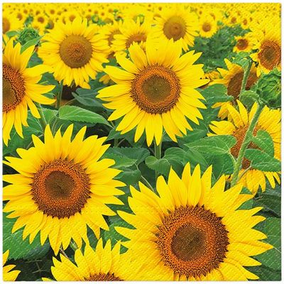 Serviette Sunflowers Field