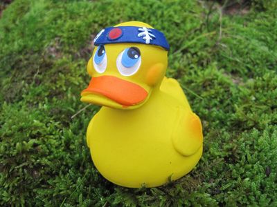Ente Latex Samurai