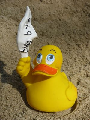 Ente Latex Bye Bye