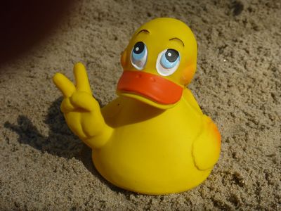 Ente Latex Victory