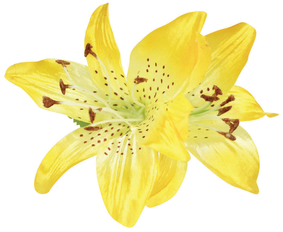 WS Haarblüte Large - Lily, Yellow WS Haarblüte Large - Lily, Yellow