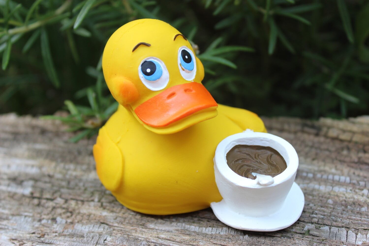 Ente Latex Coffee Ente Latex Coffee