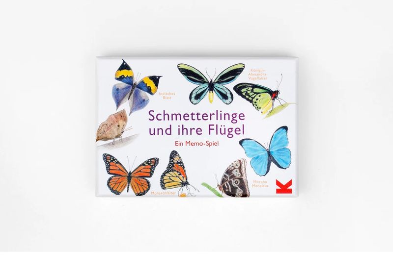 Schmetterlinge und ihre Flügel, ein Memo-Spiel