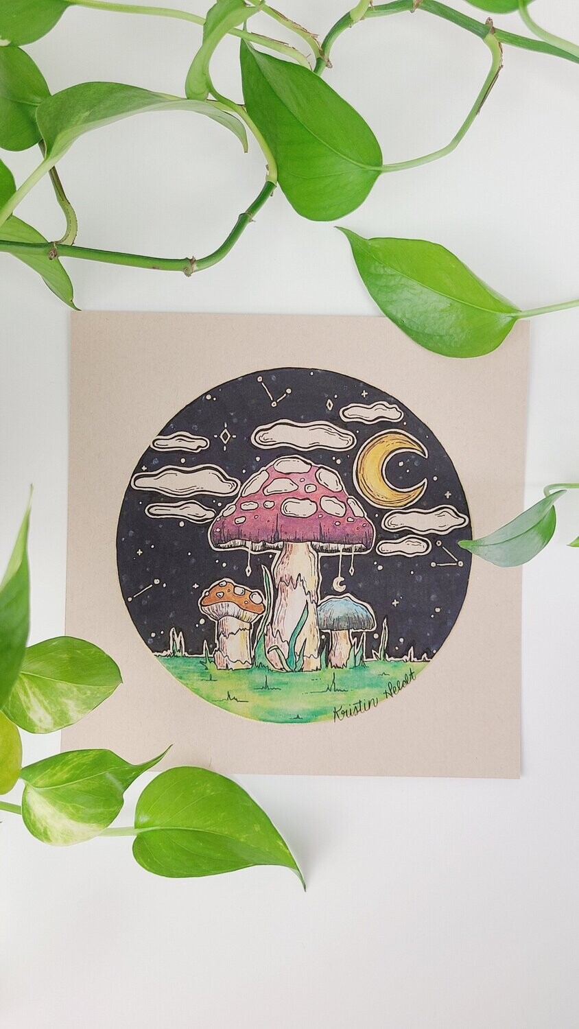 Mushroom Trio at Midnight