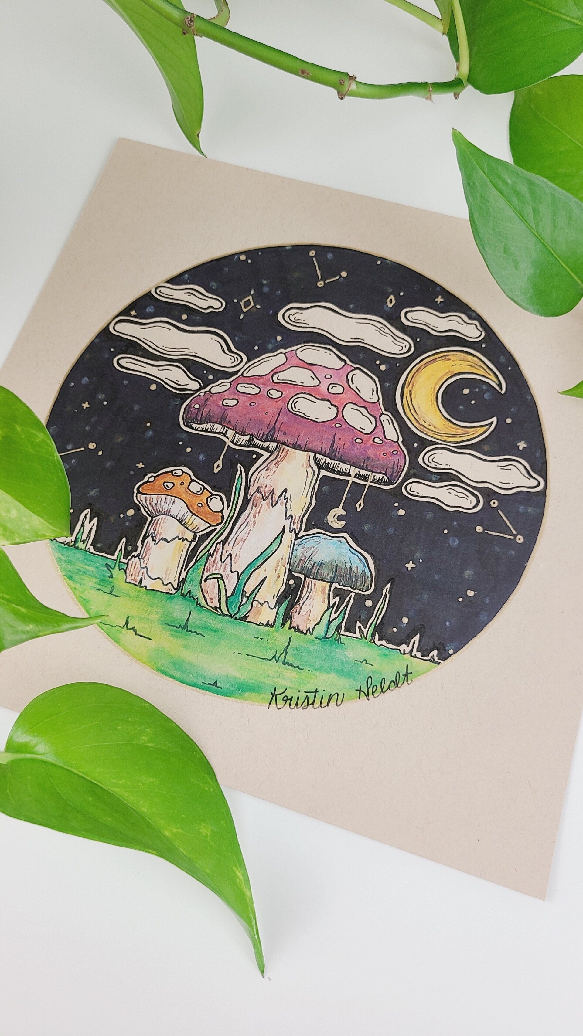 Mushroom Trio at Midnight