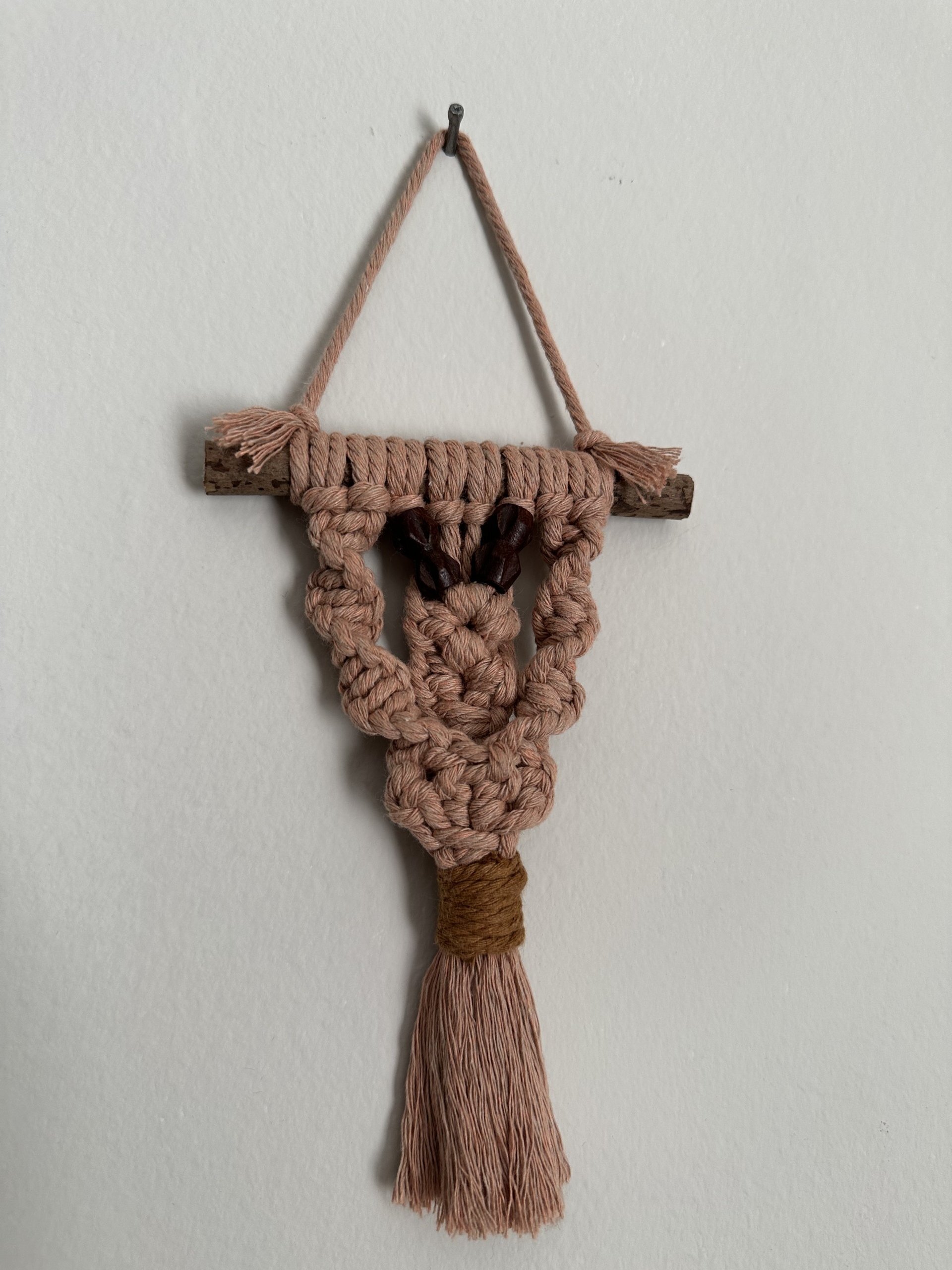 Blush Mini Macramé Wall Hanging