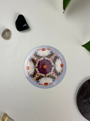 Lavender Daisy