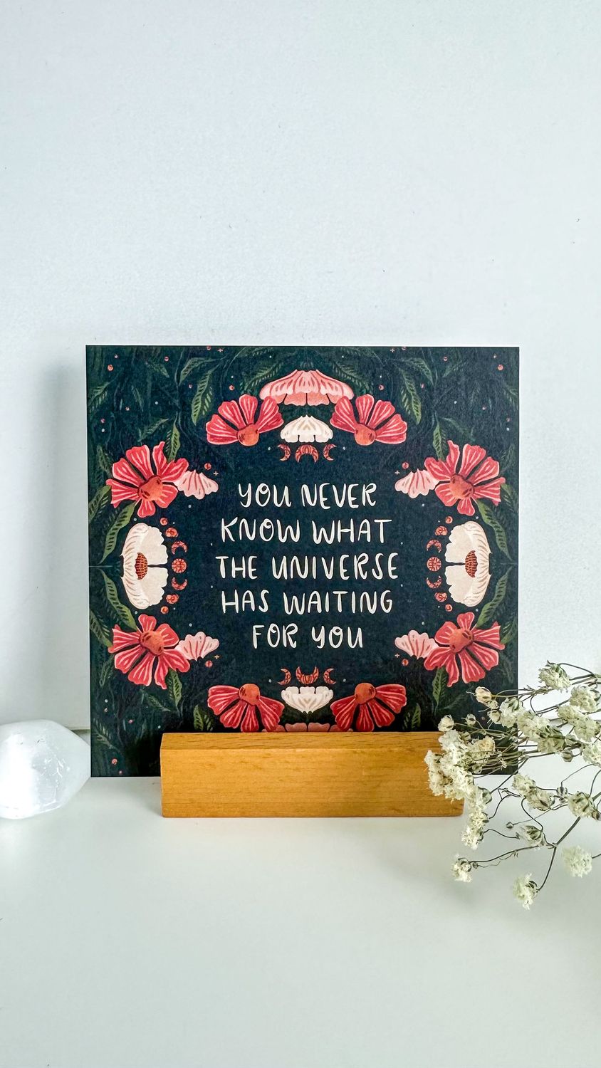 You Never Know What the Universe Has Waiting for You