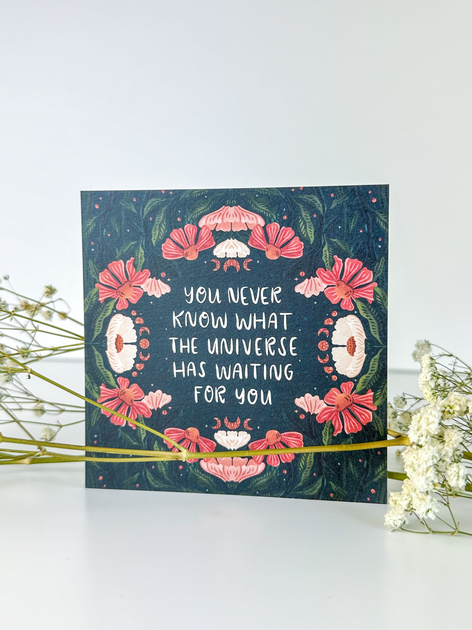 You Never Know What the Universe Has Waiting for You