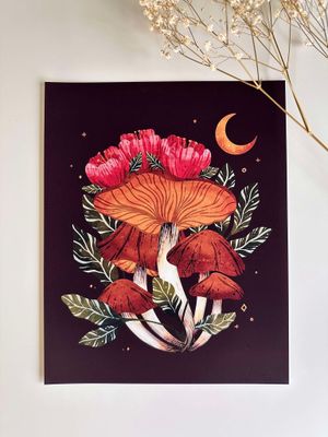 B Grade Prints