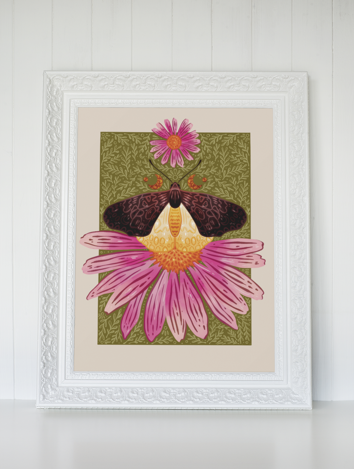 Butterfly and Coneflower